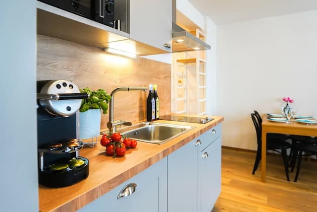 시타디네스 사우스 비엔나-디럭스 스튜디오-4