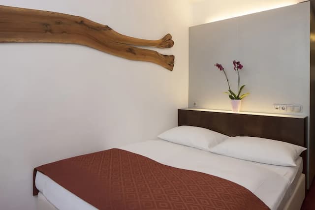 歐洲維也納奧地利流行酒店-經典客房-2