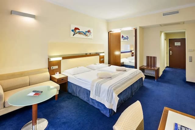 歐洲維也納奧地利流行酒店-特級客房-6