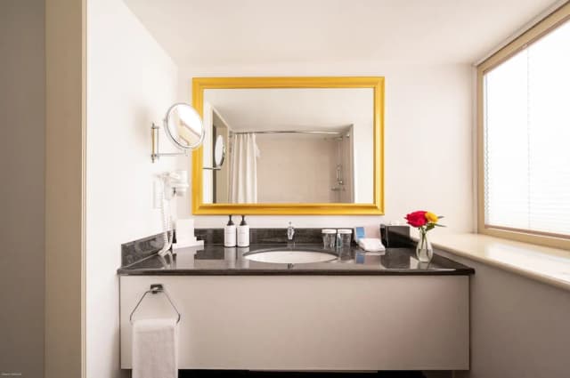 InterContinental Vienna by IHG-Junior Suite-4