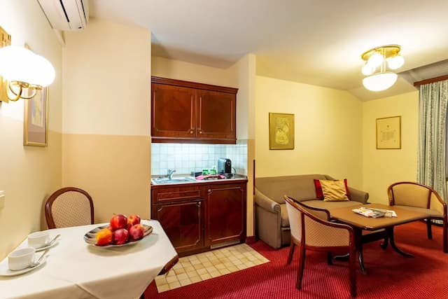 維也納劇院飯店及套房-普通套房 (Classic)-1