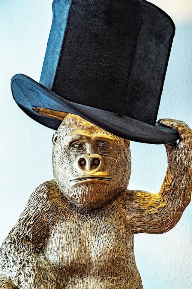 維也納劇院飯店及套房-高級套房 (Senior)-6