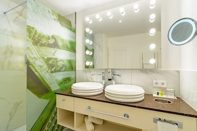 維也納劇院飯店及套房-高級套房 (Senior)-5