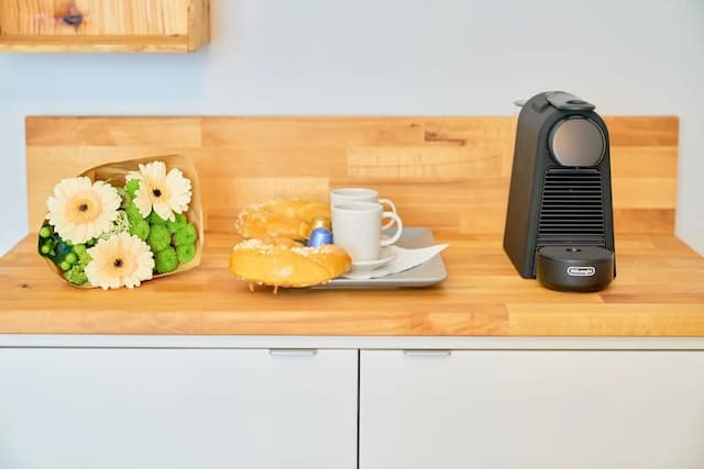 レフセン センター アパートメンツ ウィーン-スーペリア スタジオスイート (Olive)-11