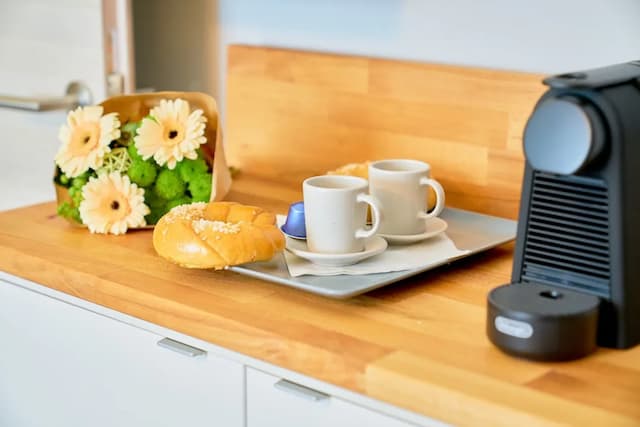 レフセン センター アパートメンツ ウィーン-スーペリア スタジオスイート (Olive)-12