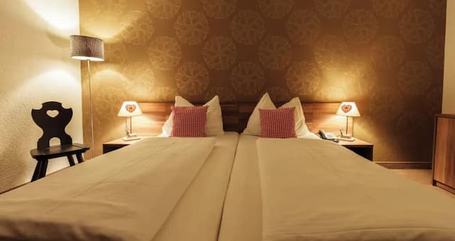 호텔 엔지아나 빈-스탠다드 더블룸-3