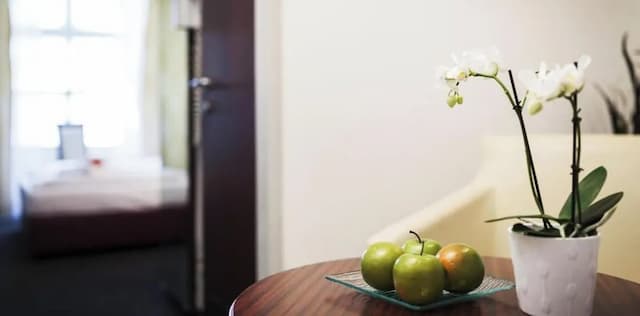 호텔 엔지아나 빈-스탠다드 더블룸-2