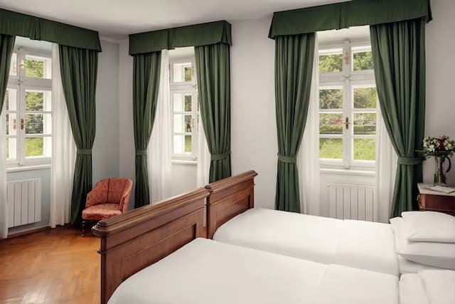 Hotel Roma Prague-双人房或双床房-4