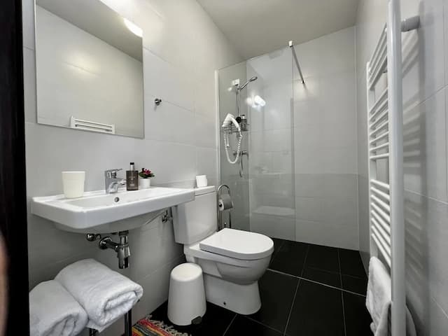 Grand Petit Hotel ex Shato Gesson-经典双人房或双床房-12