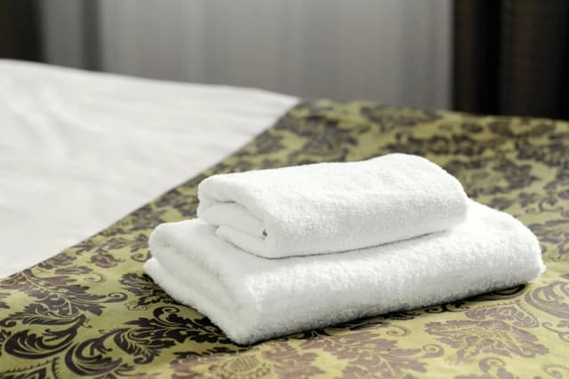 布拉格高級飯店-標準三人房-3