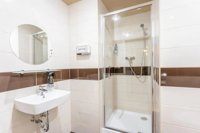 布拉格高級飯店-高級三人房-2