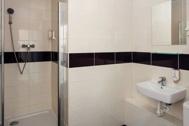 布拉格高級飯店-標準雙人或雙床房, 1 張標準雙人床或 2 張單人床-13