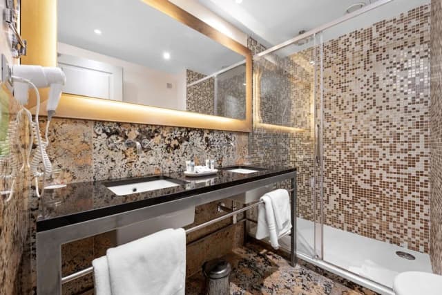 호텔 로얄 프라하-슈피리어 더블룸 또는 트윈룸-10