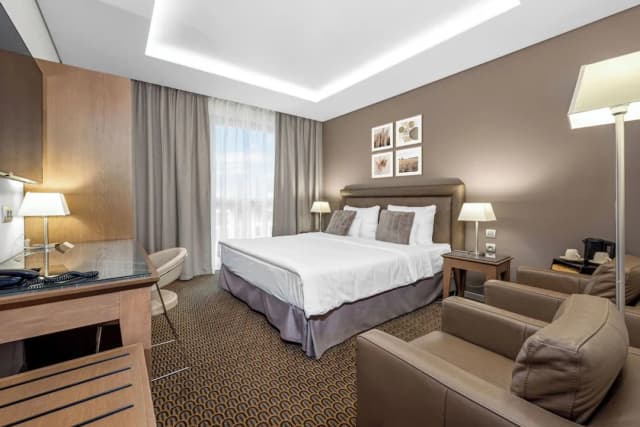 호텔 로얄 프라하-슈피리어 더블룸 또는 트윈룸-1