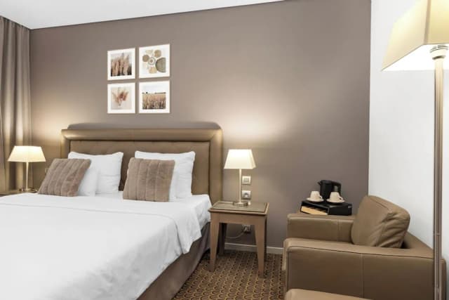 호텔 로얄 프라하-슈피리어 더블룸 또는 트윈룸-7