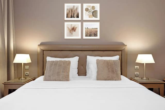 호텔 로얄 프라하-슈피리어 더블룸 또는 트윈룸-6