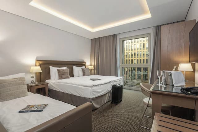 호텔 로얄 프라하-슈피리어 더블룸 또는 트윈룸 (with Sofa Bed)-7