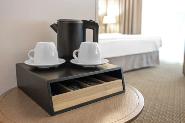 호텔 로얄 프라하-슈피리어 더블룸 또는 트윈룸 (with Sofa Bed)-9