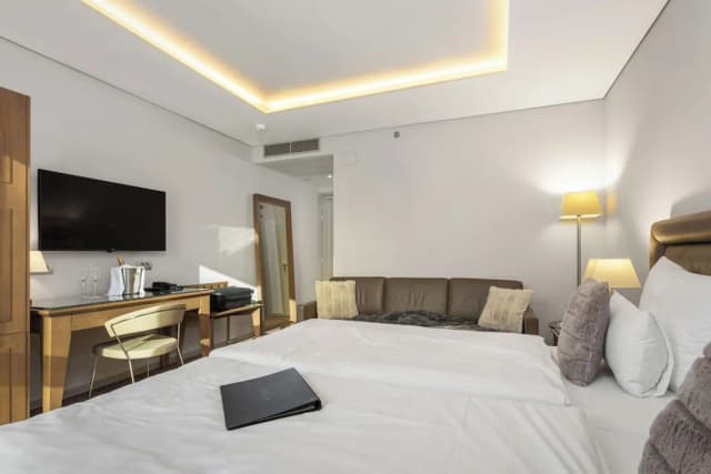 호텔 로얄 프라하-슈피리어 더블룸 또는 트윈룸 (with Sofa Bed)-5