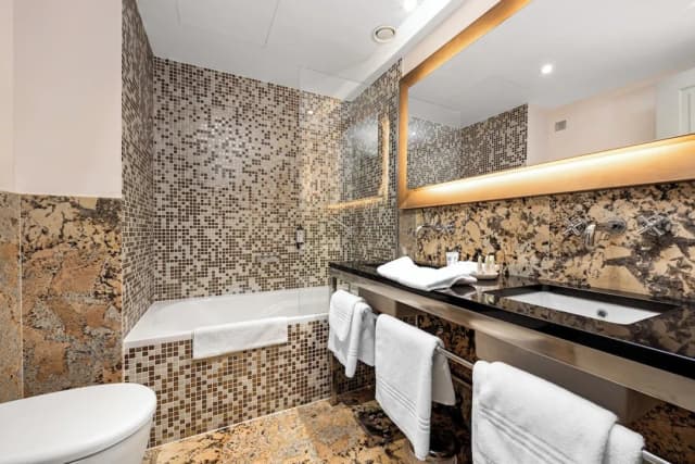 호텔 로얄 프라하-컴포트 트리플룸, 욕조-10