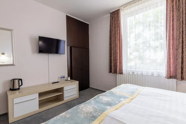 Hotel Wilhelm-双人房或双床房-2