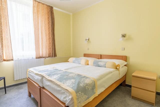 Hotel Wilhelm-双人房或双床房-3