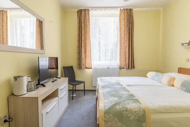 Hotel Wilhelm-双人房或双床房-5