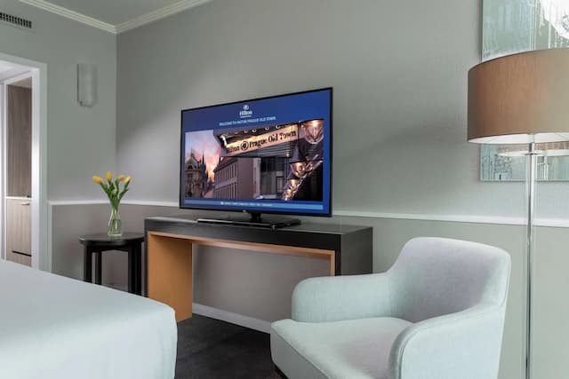 Hilton Prague Old Town-客房, 1 张特大床-5