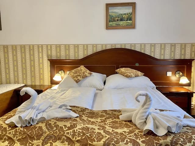 里沃瓦布拉格古城飯店-經典三人房, 1 間臥室-10