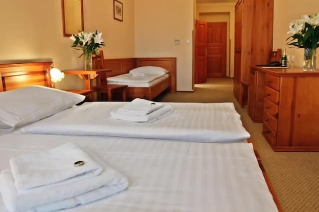 里沃瓦布拉格古城飯店-經典三人房, 1 間臥室-5