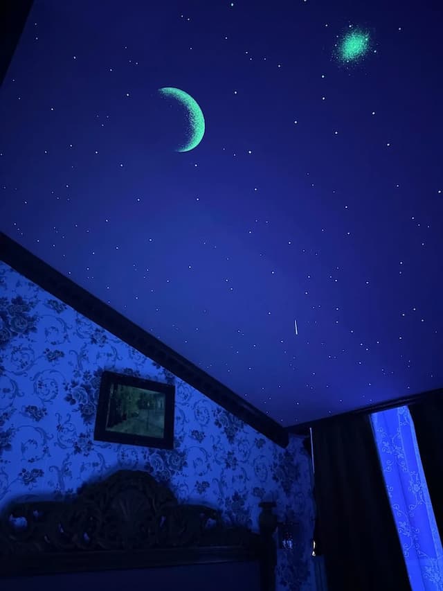 里沃瓦布拉格古城飯店-皇家雙人或雙床房-7