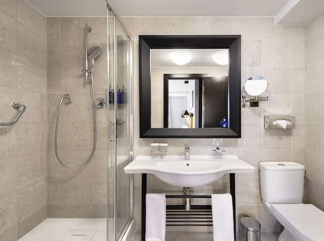 래디슨 블루 호텔, 프라하-스위트, 테라스-4