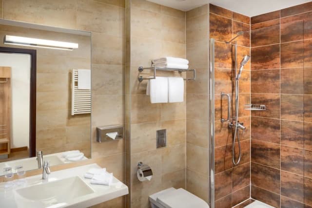 布拉格隱居飯店-標準雙人或雙床房-5