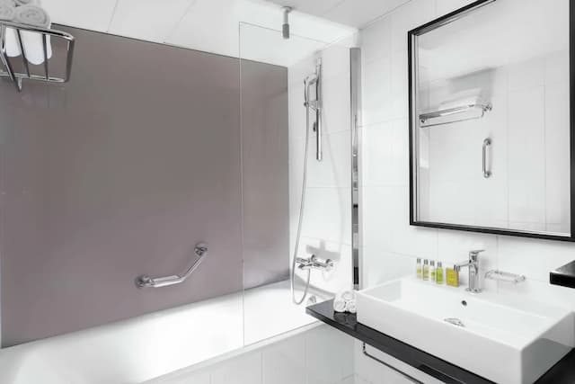 布拉格希爾頓飯店-客房, 1 張特大雙人床-6