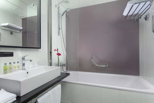 布拉格希爾頓飯店-普通套房, 1 張特大雙人床-7