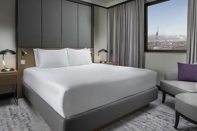 布拉格希爾頓飯店-普通套房, 1 張特大雙人床-2