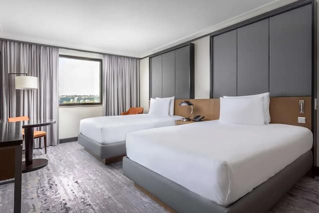 布拉格希爾頓飯店-客房, 2 張單人床-1