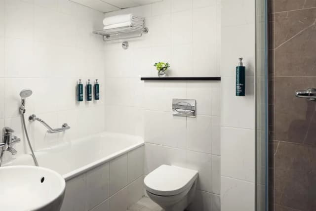 힐튼 프라하 아트리움-이그제큐티브룸, 싱글침대 2개-3