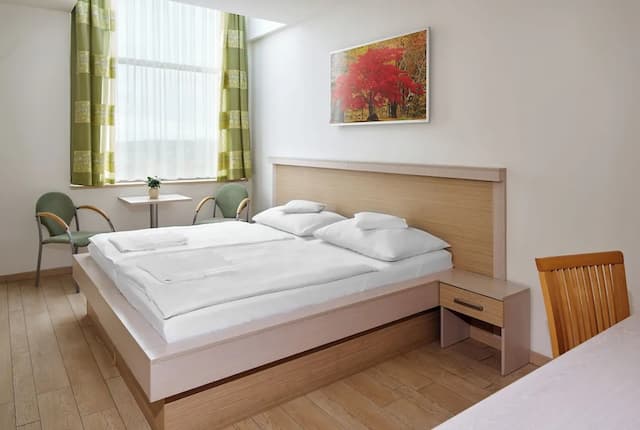 Ankora Hotel Prague-标准双人房或双床房-1