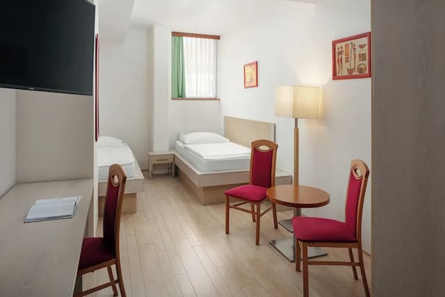 Ankora Hotel Prague-标准双人房或双床房-11