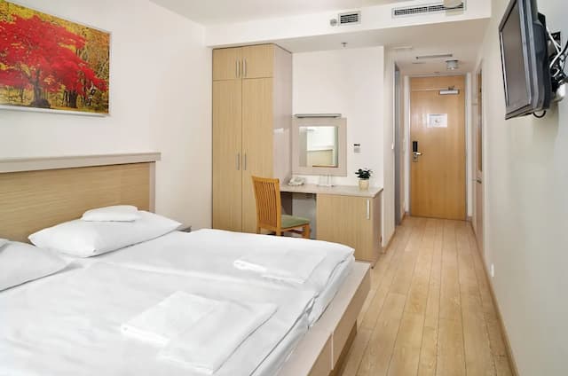 Ankora Hotel Prague-标准双人房或双床房-3