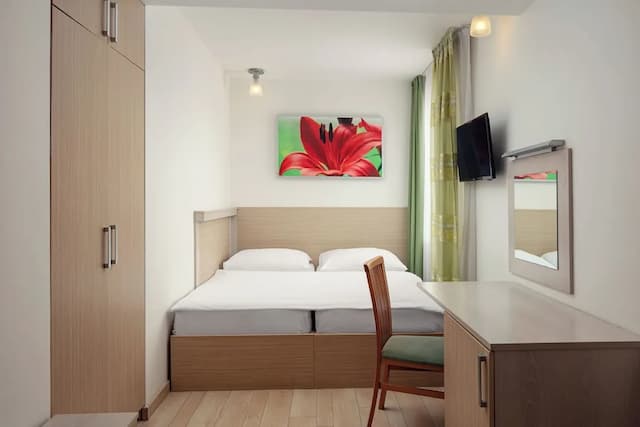 Ankora Hotel Prague-标准双人房或双床房-13