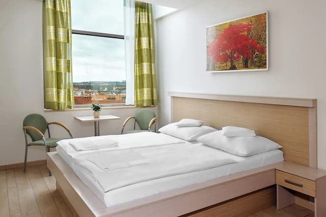Ankora Hotel Prague-标准双人房或双床房-2