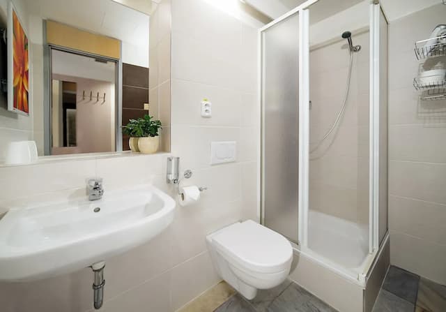 Ankora Hotel Prague-标准双人房或双床房-6