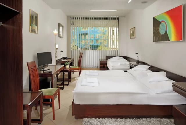 Ankora Hotel Prague-标准三人房-1