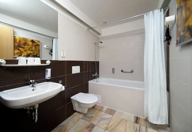 Ankora Hotel Prague-标准三人房-2