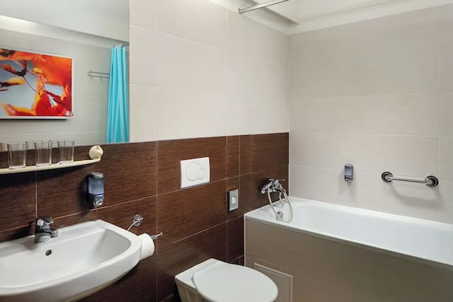 Ankora Hotel Prague-标准三人房-10