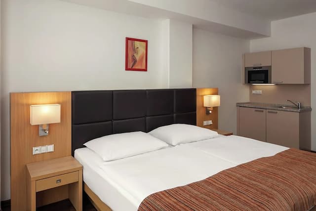 Ankora Hotel Prague-华丽开间, 简易厨房-14