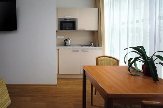 Ankora Hotel Prague-华丽开间, 简易厨房-7