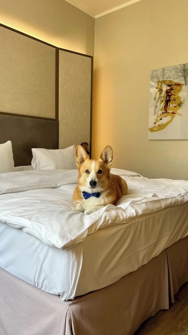 徽章飯店-Pied a Terre-8